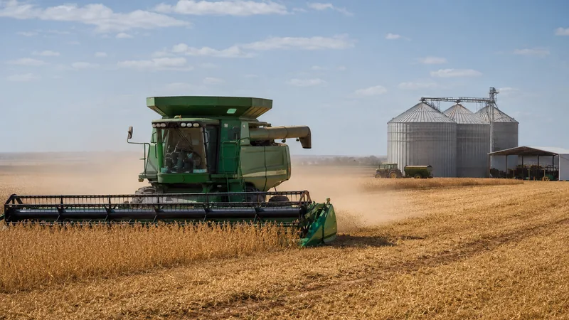 Máquina agrícola em lavoura, em operação de campo